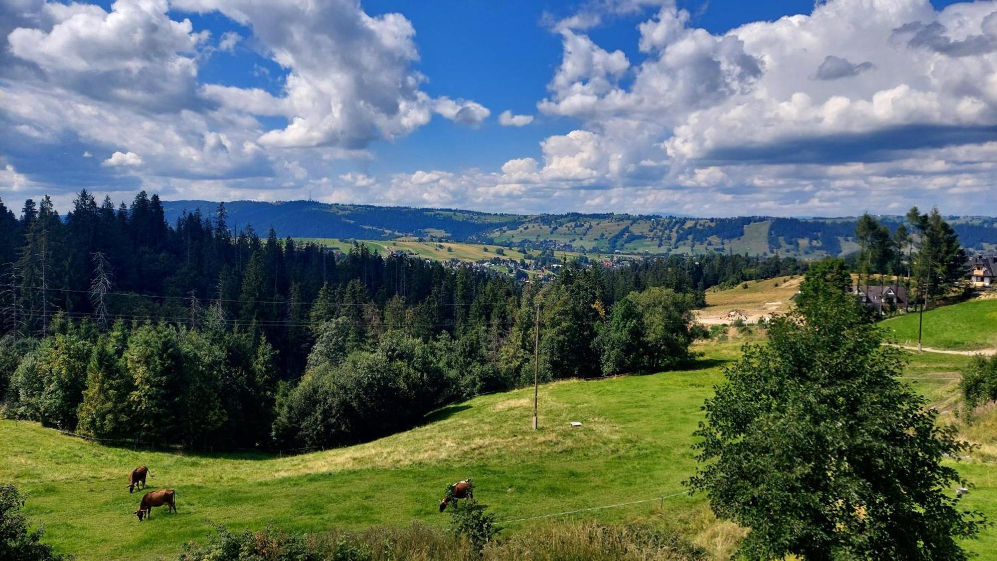Willa Posrednia Zakopane Exterior photo